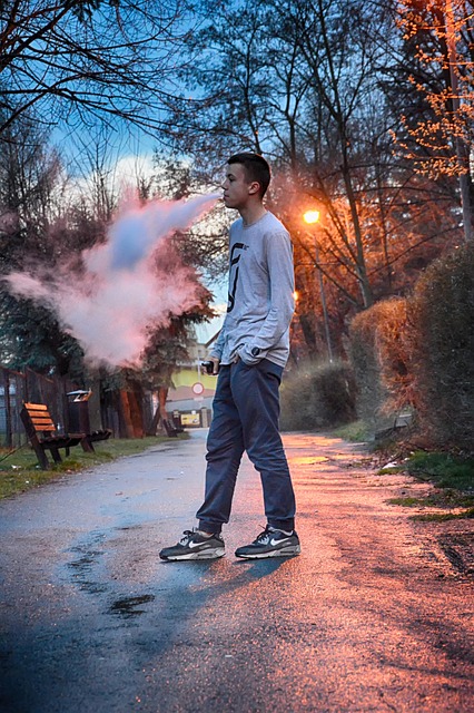 vape mod