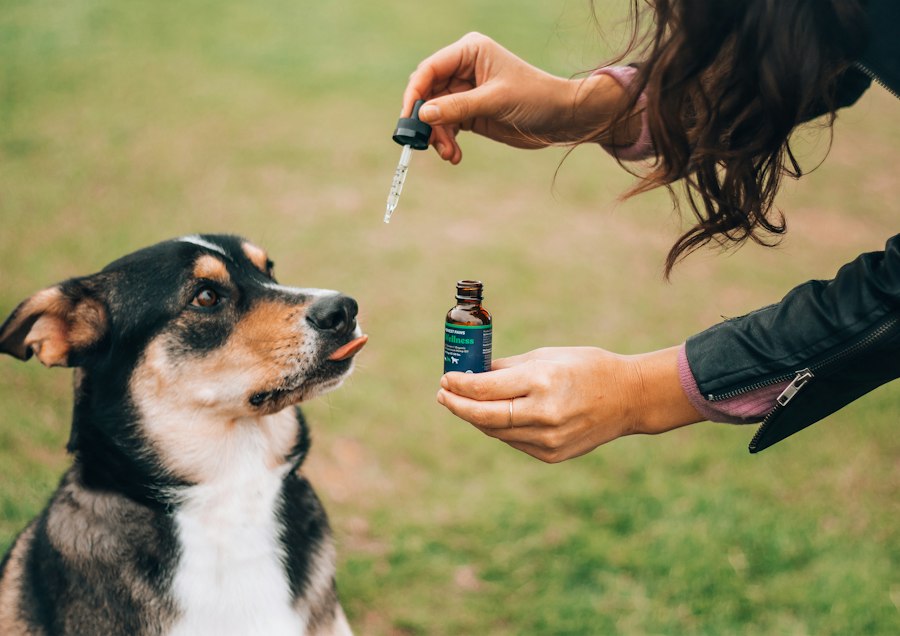 e-liquid