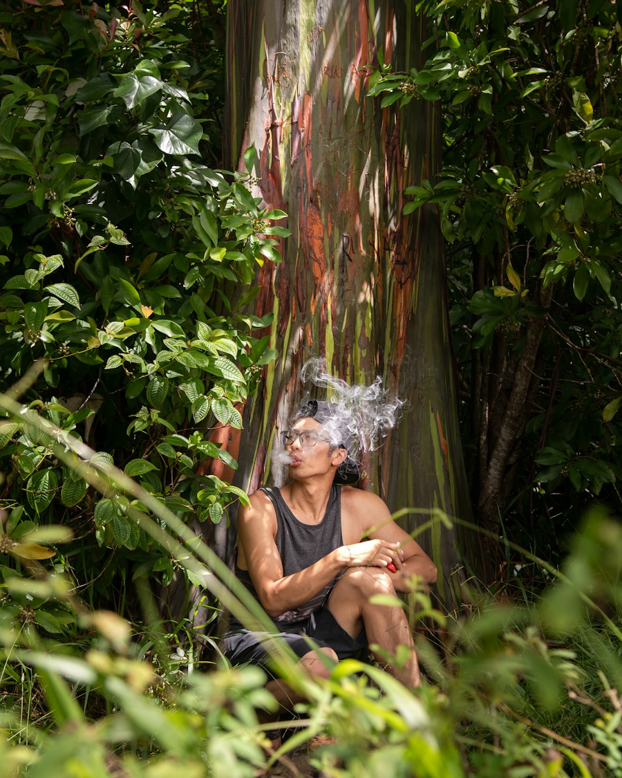 vape bundle