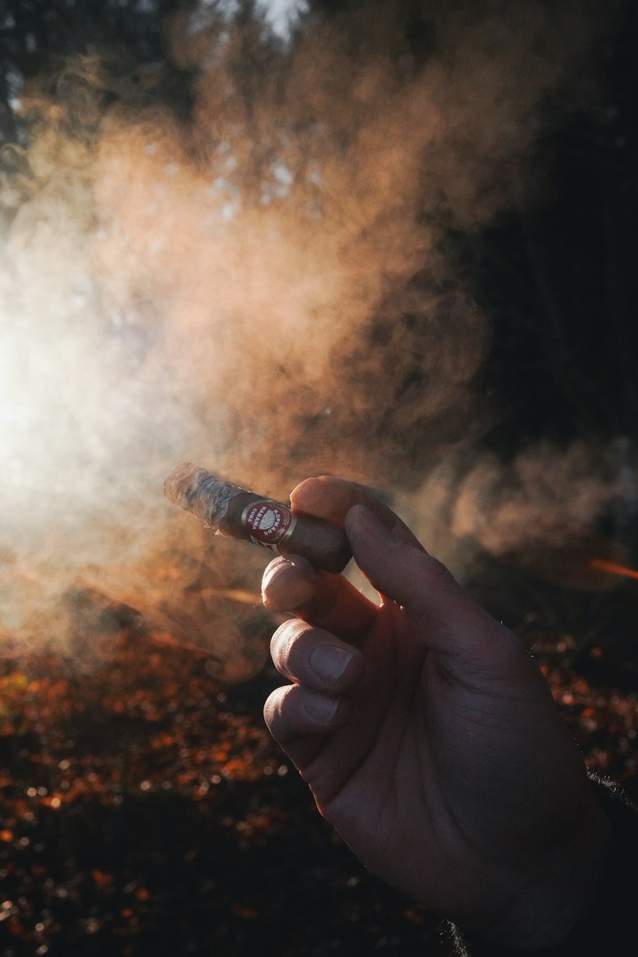 vape mod